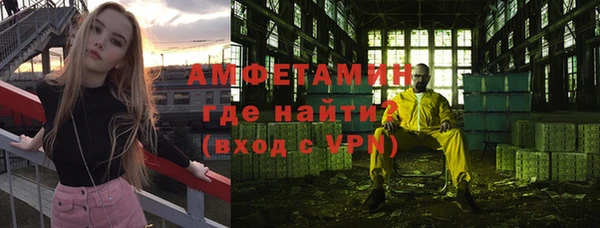 дживик Семилуки