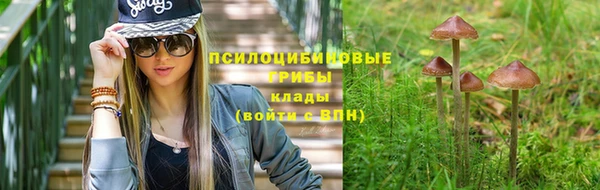 а пвп мука Гатчина