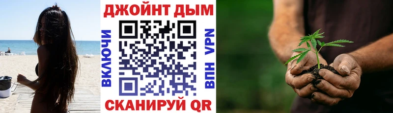 Купить закладки  Канаш  МАРИХУАНА марихуана 